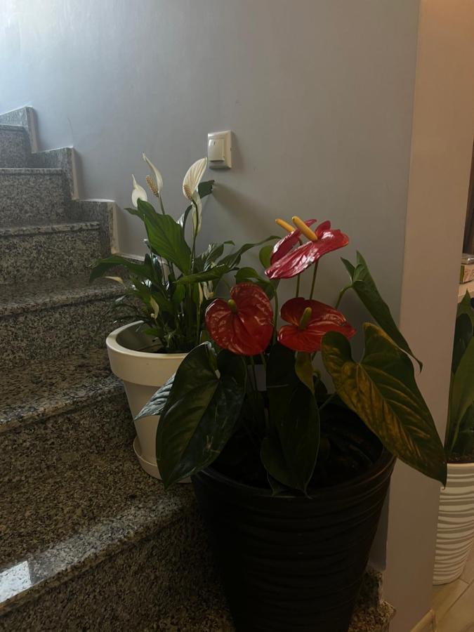 Villa Residence Kvariati Luaran gambar